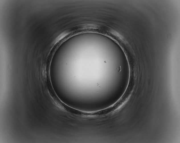X0000085211113200703091133