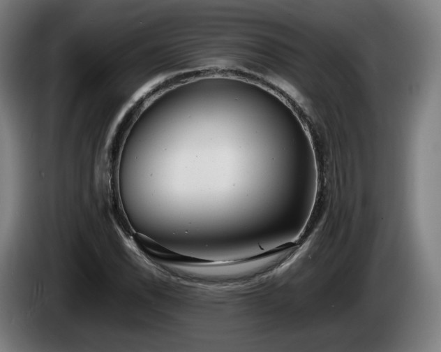 X0000085211118200703091133