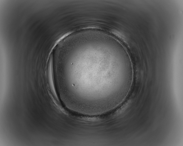 X0000085211121200703091133