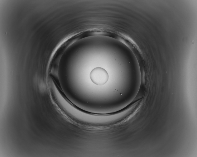 X0000085211122200703091133