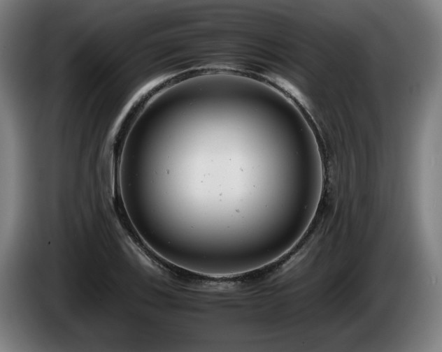 X0000085211123200703091133