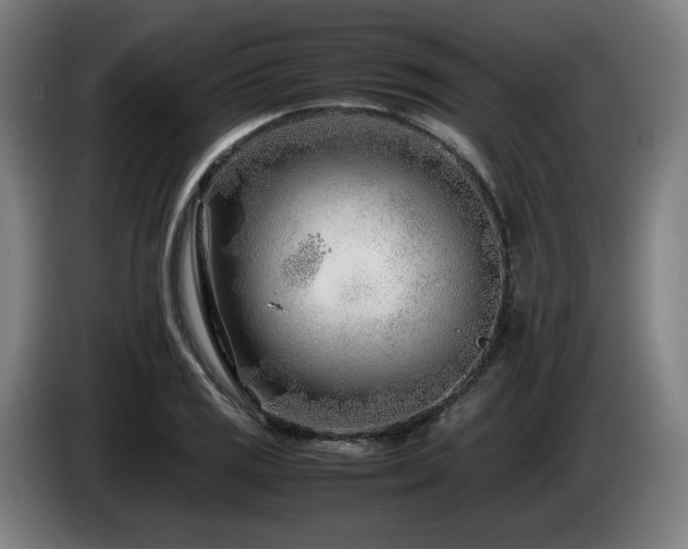 X0000085211125200703091133