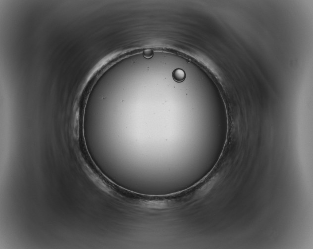 X0000085211126200703091133