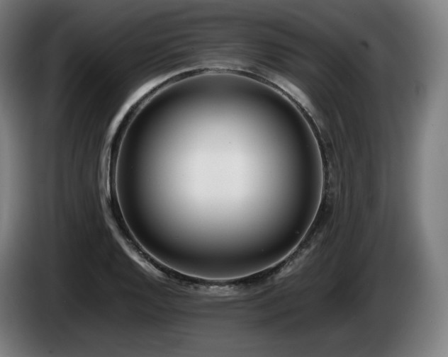 X0000085211128200703091133