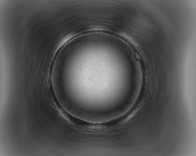 X0000085211129200703091133