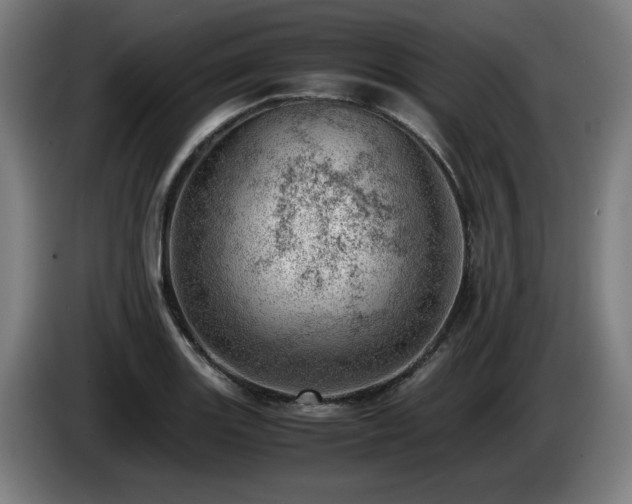 X0000085211131200703091133