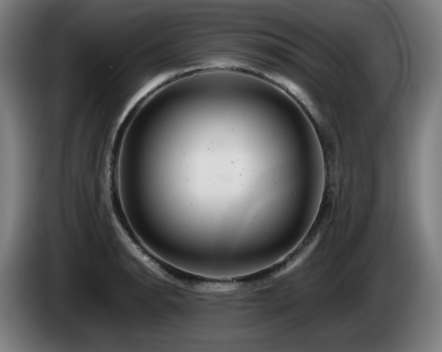 X0000085211134200703091133