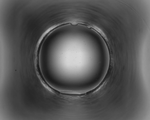 X0000085211136200703091133