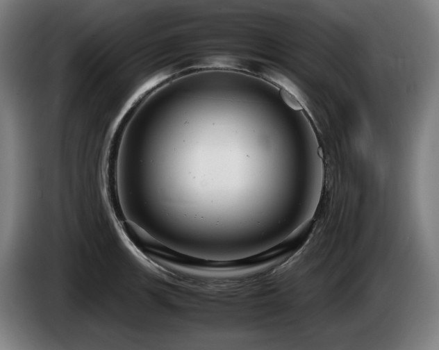 X0000085211139200703091133