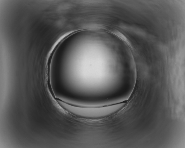 X0000085211140200703091133