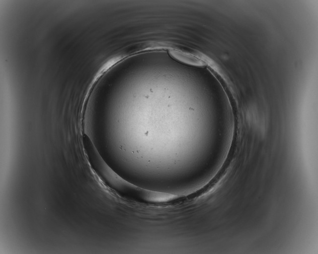 X0000085211145200703091133