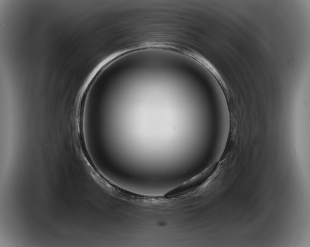 X0000085211148200703091133