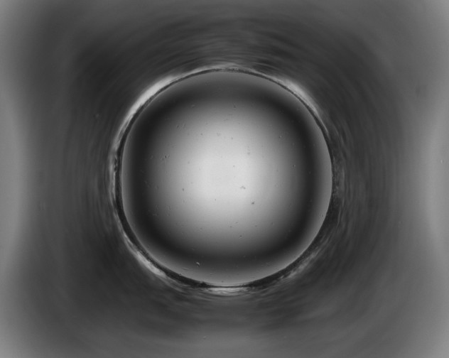 X0000085211151200703091133