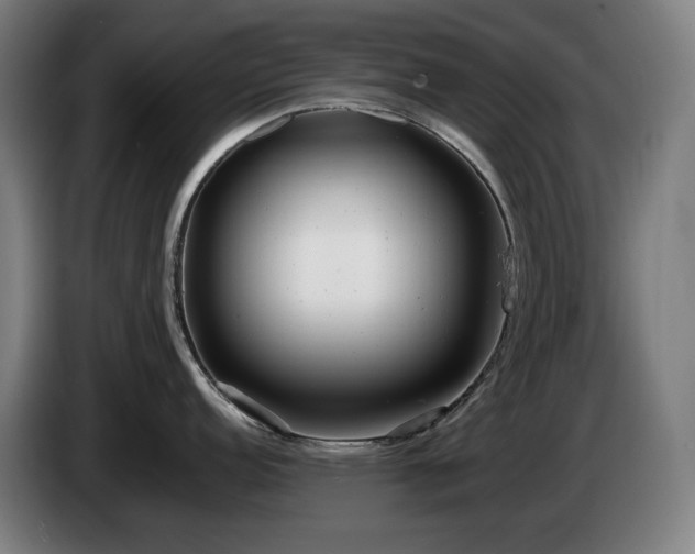X0000085211152200703091133