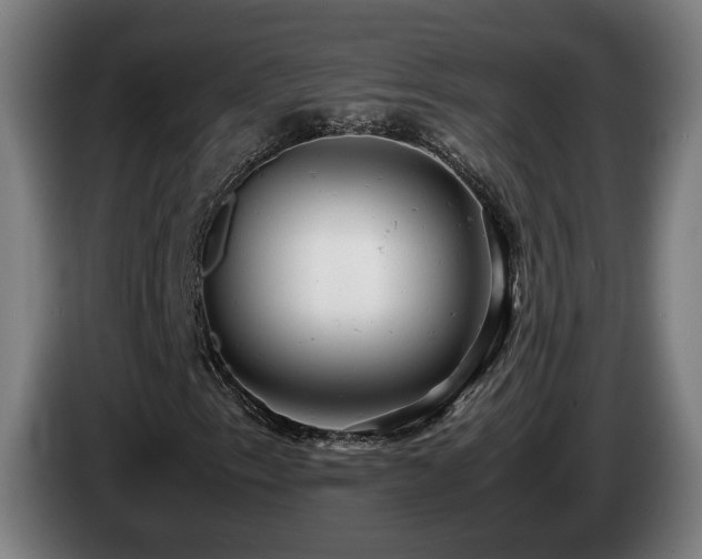 X0000085211153200703091133