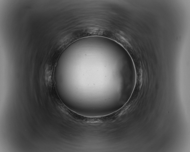 X0000085211154200703091133