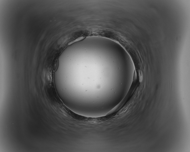 X0000085211155200703091133