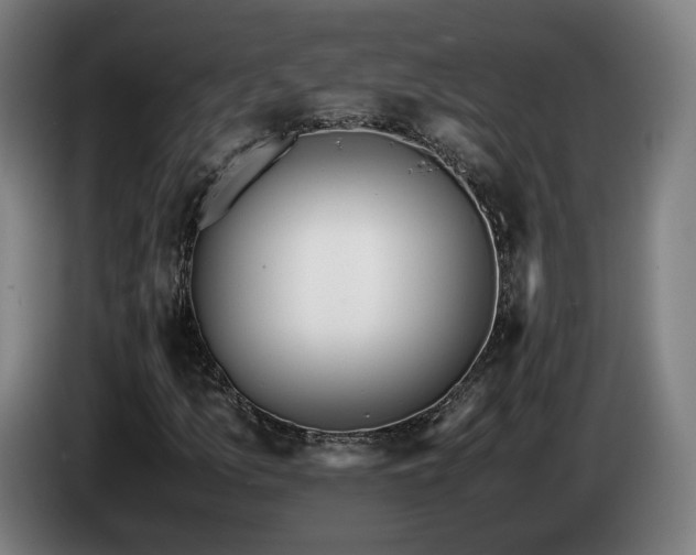 X0000085211157200703091133