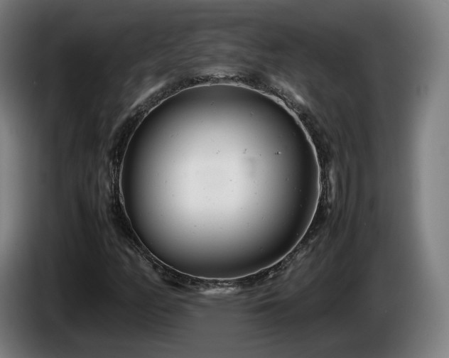 X0000085211158200703091133
