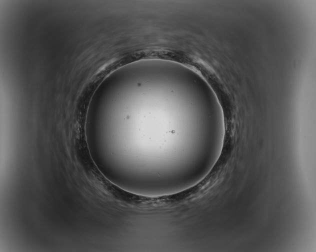 X0000085211159200703091133