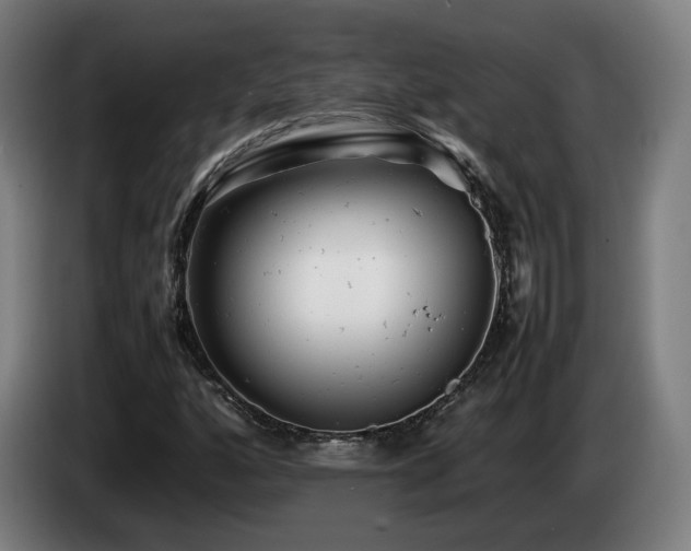 X0000085211160200703091133