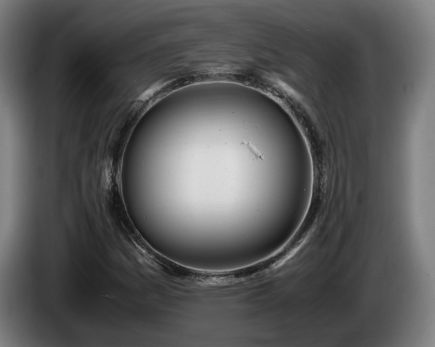 X0000085211161200703091133