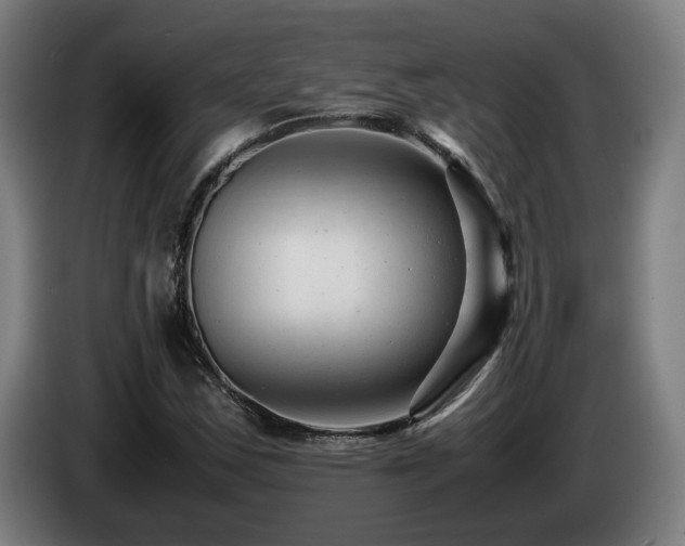 X0000085211163200703091132