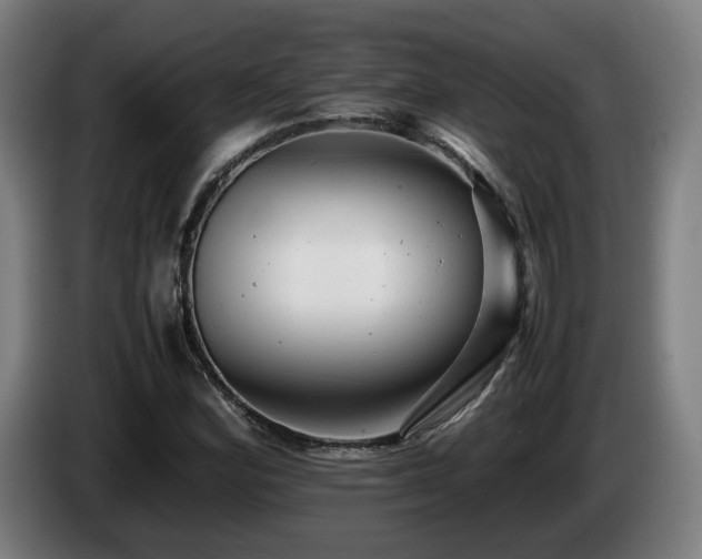X0000085211164200703091132