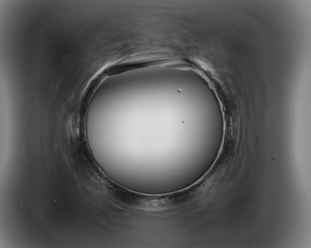 X0000085211165200703091132