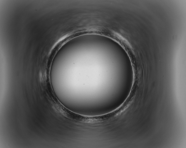 X0000085211166200703091132