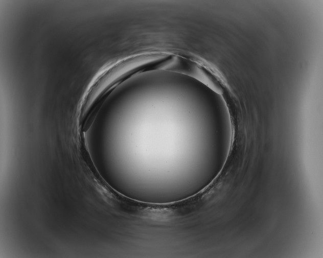X0000085211168200703091132