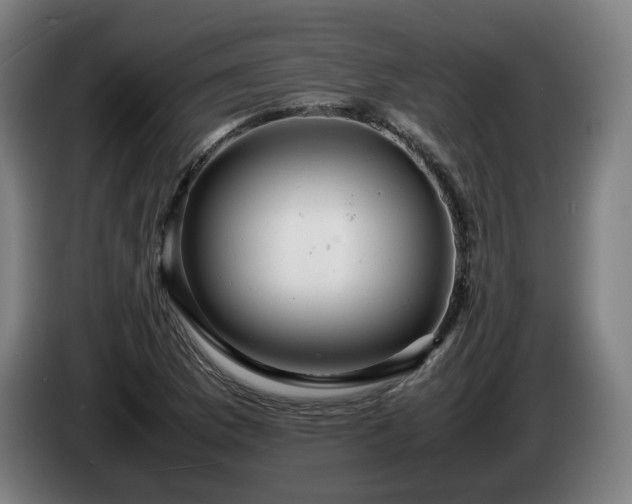 X0000085211169200703091132