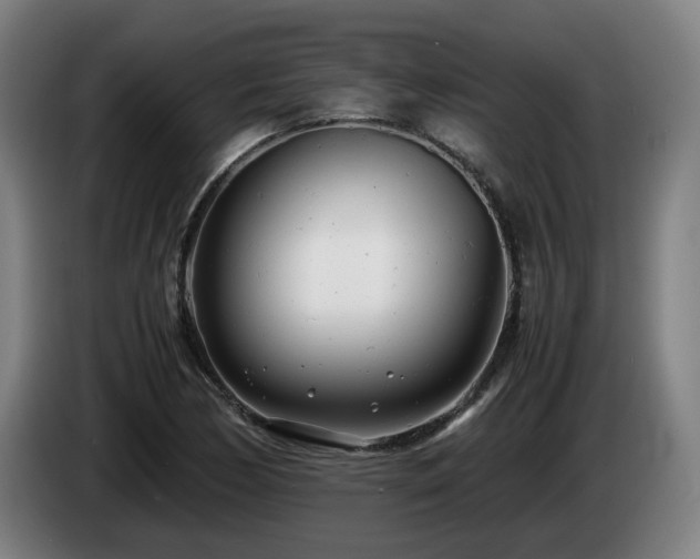X0000085211170200703091132