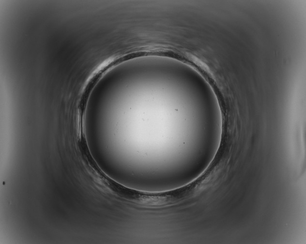 X0000085211171200703091132