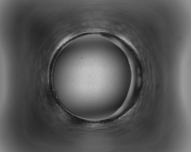 X0000085211173200703091132