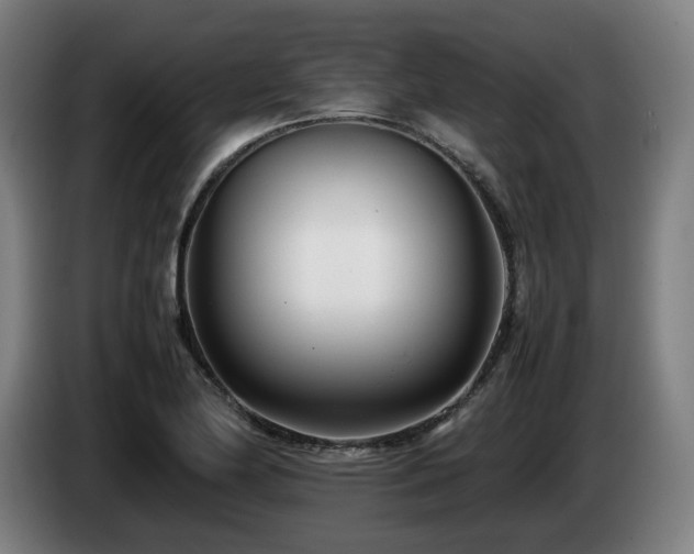 X0000085211174200703091132