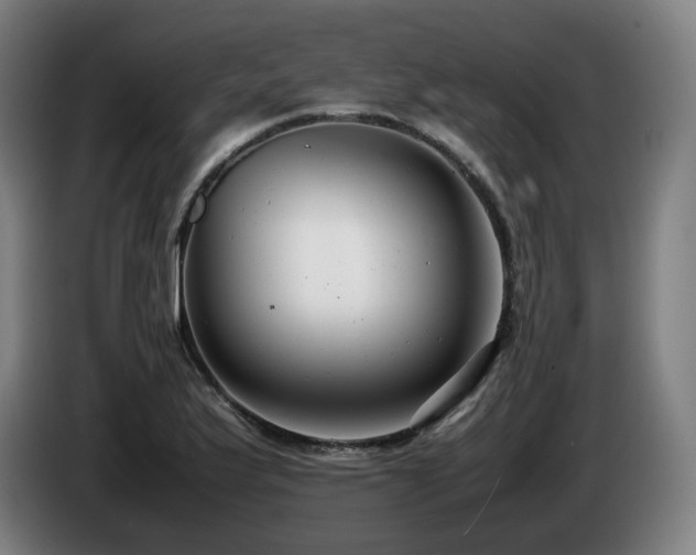 X0000085211175200703091132