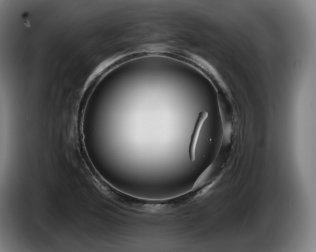 X0000085211176200703091132