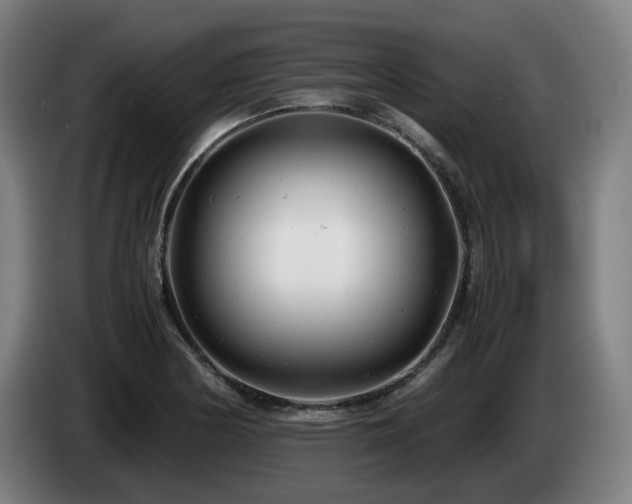 X0000085211178200703091132