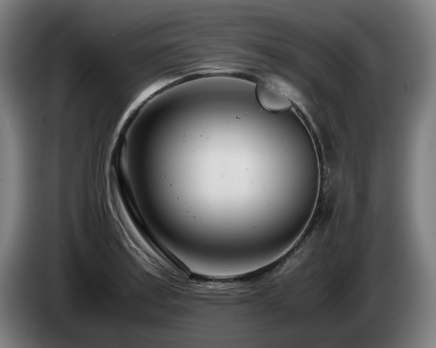 X0000085211179200703091132