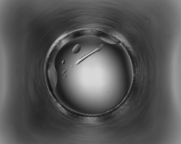 X0000085211180200703091132