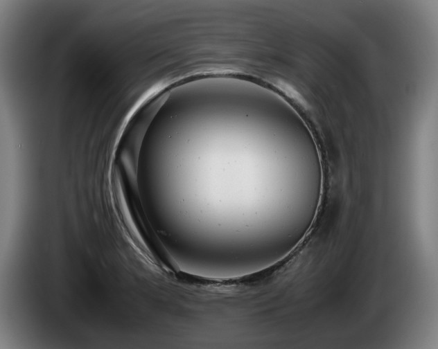 X0000085211181200703091132