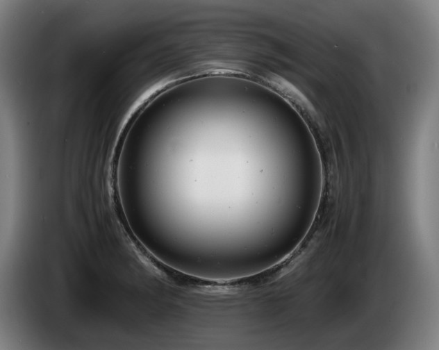 X0000085211182200703091132