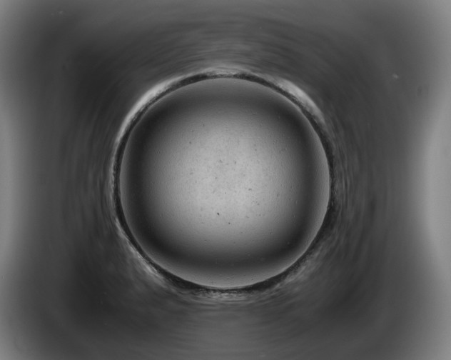 X0000085211183200703091132