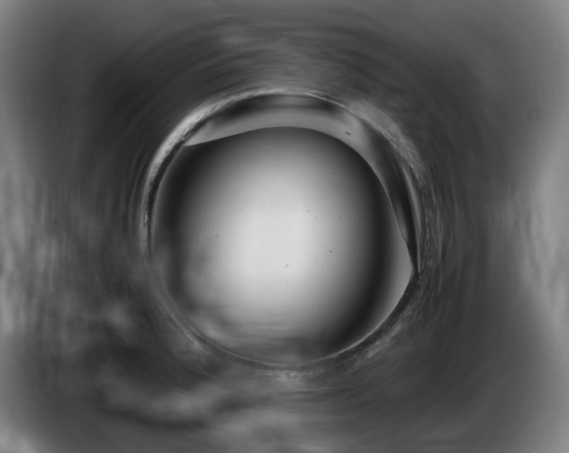 X0000085211188200703091132
