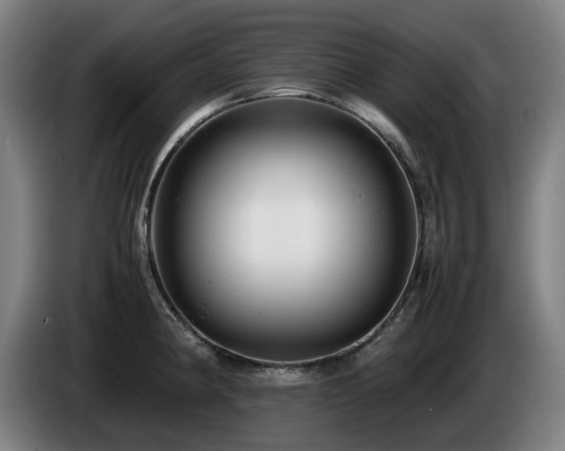 X0000085211190200703091132
