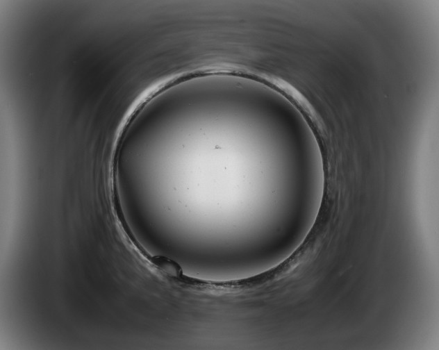 X0000085211191200703091132