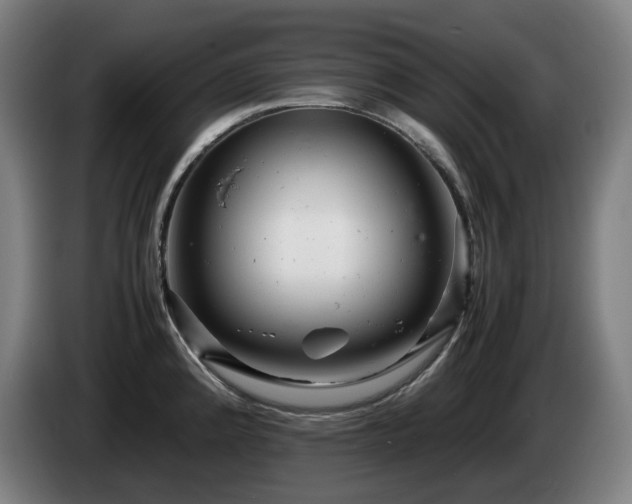 X0000085211192200703091132