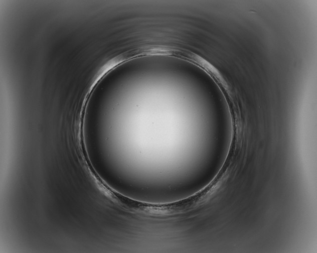X0000085211194200703091132
