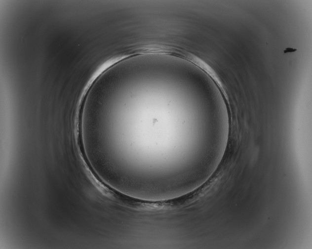 X0000085211195200703091132